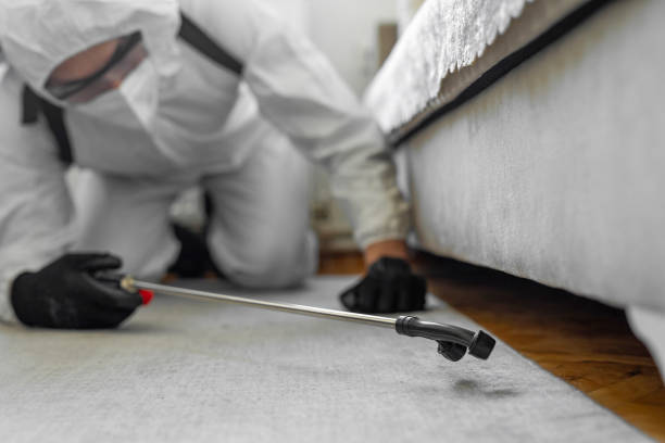 Professional Bed Bug Control technician working in Columbia County County, AR